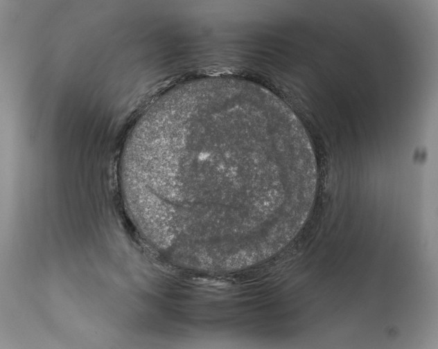 X0000112010743200909141125