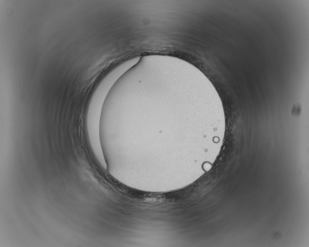 X0000112010744200909141125
