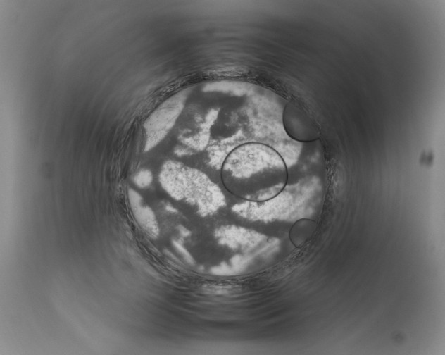 X0000112010745200909141125