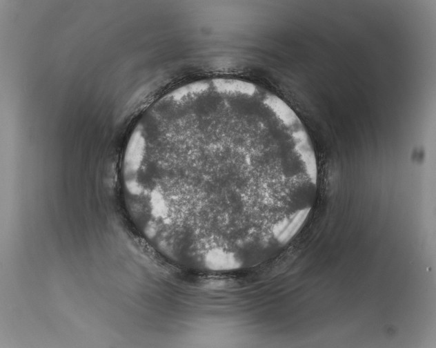 X0000112010746200909141125