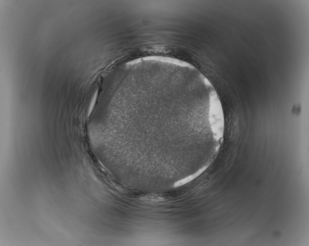 X0000112010747200909141125