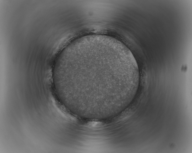 X0000112010748200909141125