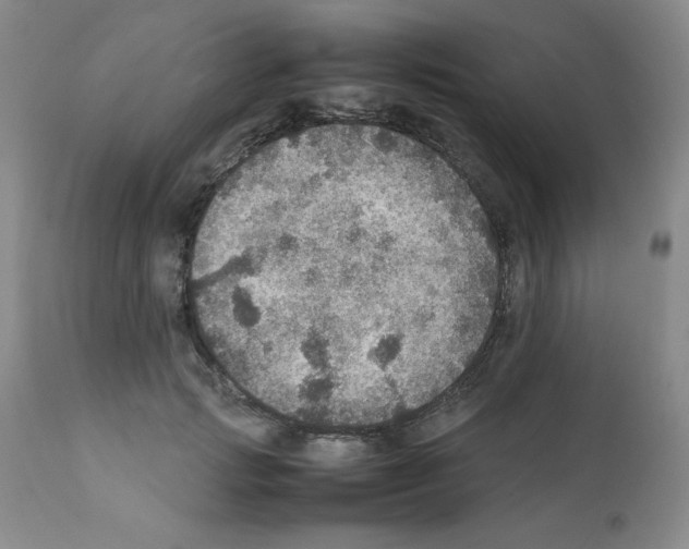 X0000112010749200909141125