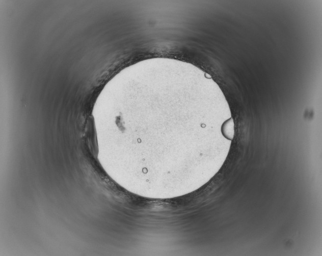 X0000112010750200909141125