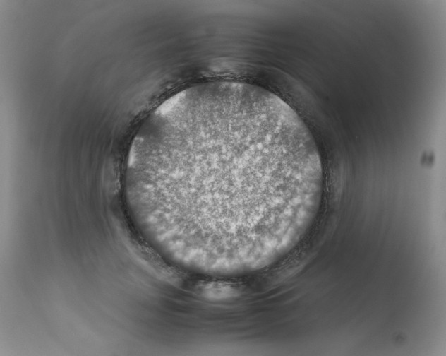 X0000112010751200909141125
