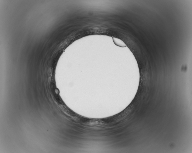 X0000112010752200909141125