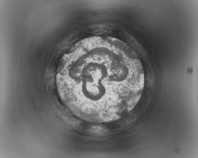 X0000112010753200909141125