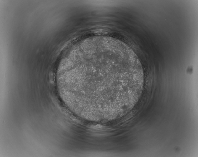 X0000112010755200909141125