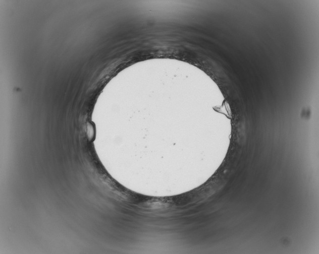 X0000112010756200909141125