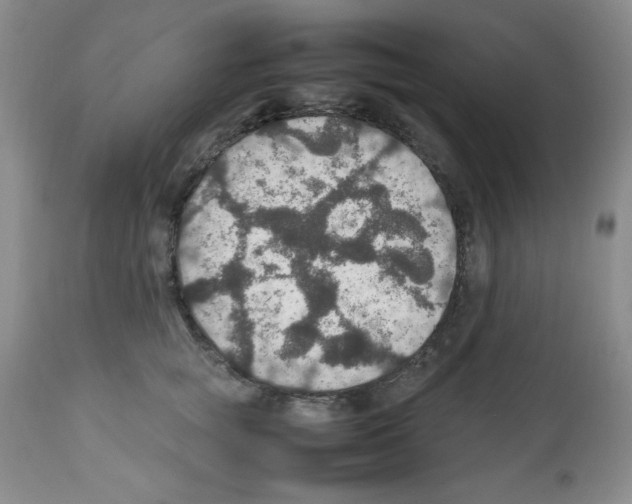 X0000112010757200909141125