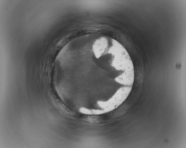X0000112010758200909141125
