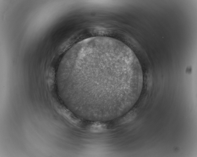 X0000112010760200909141125