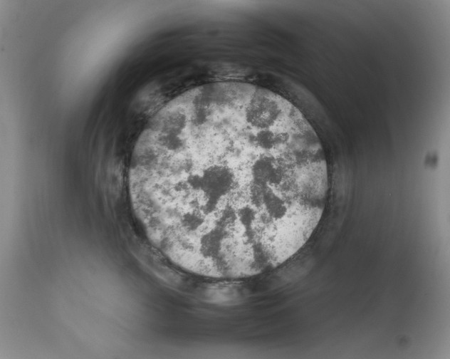 X0000112010761200909141125