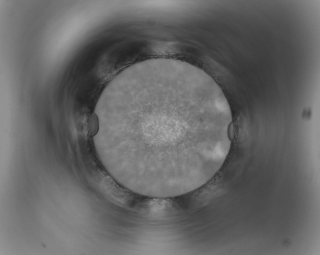 X0000112010762200909141125