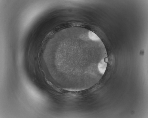 X0000112010763200909141126