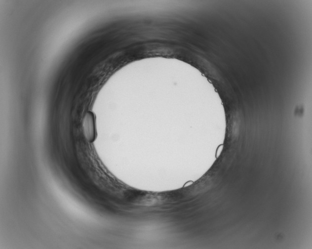 X0000112010764200909141126