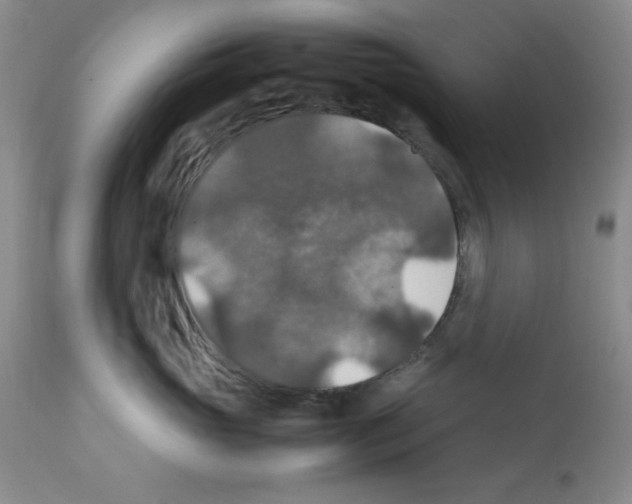 X0000112010765200909141126