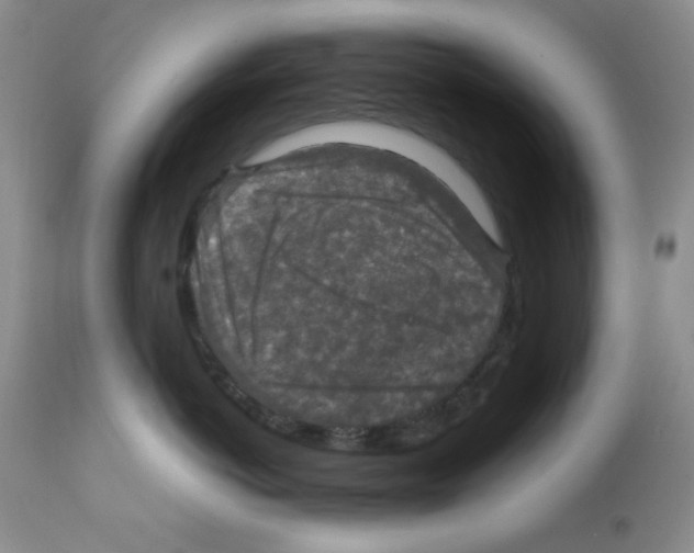 X0000112010766200909141126