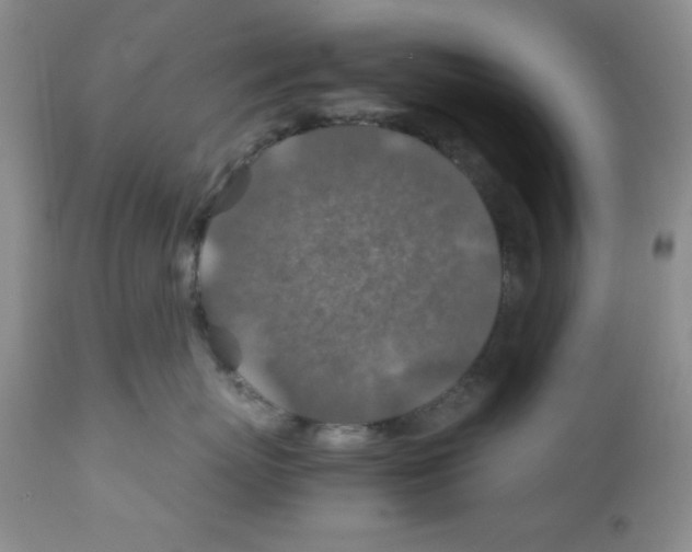 X0000112010767200909141126