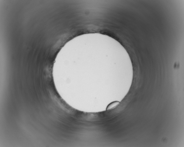 X0000112010768200909141126