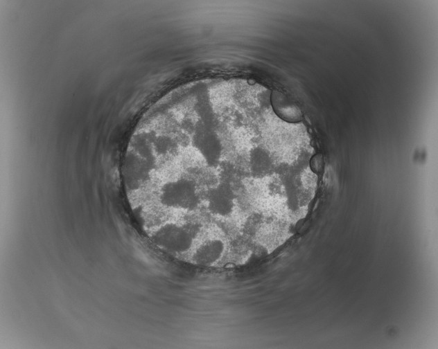 X0000112010771200909141125