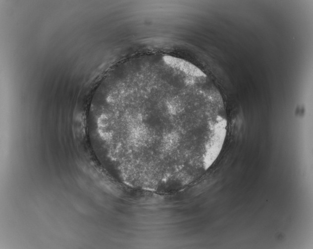 X0000112010772200909141125