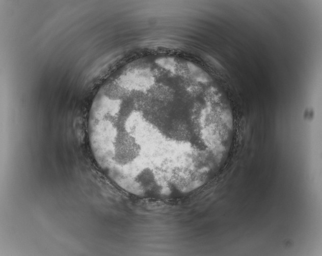 X0000112010774200909141125