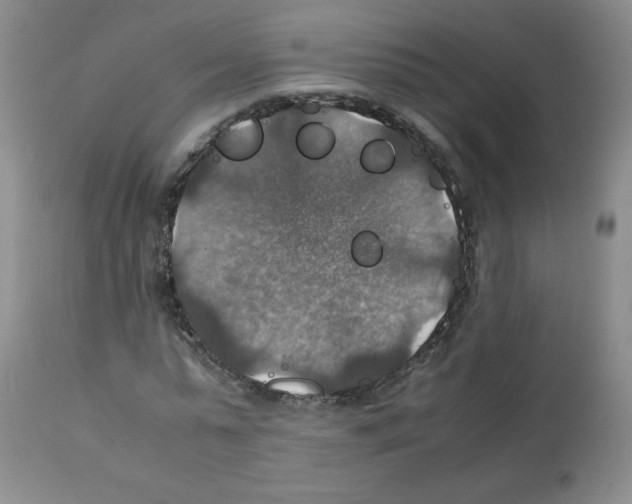 X0000112010775200909141125
