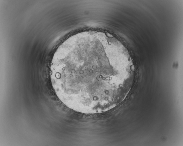 X0000112010776200909141125
