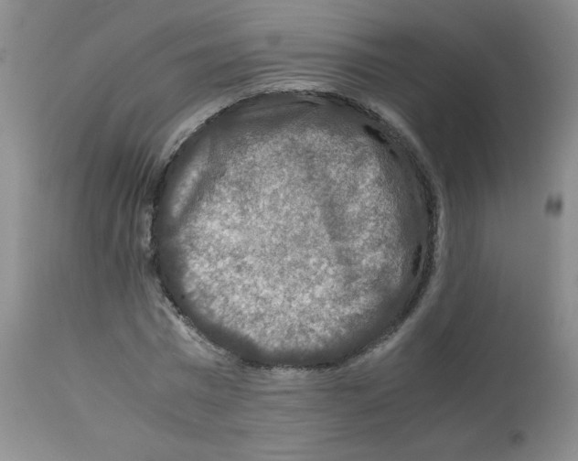 X0000112010777200909141125