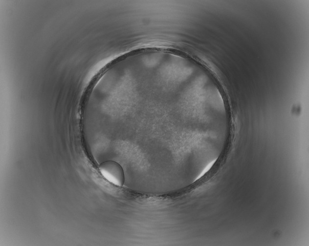X0000112010779200909141125