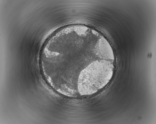 X0000112010780200909141125