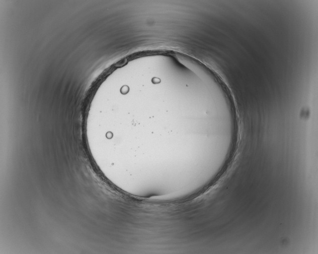 X0000112010781200909141125