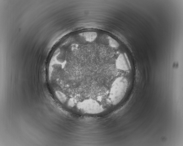 X0000112010782200909141125
