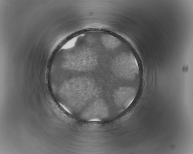 X0000112010783200909141125