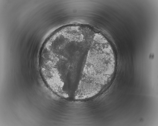 X0000112010784200909141125