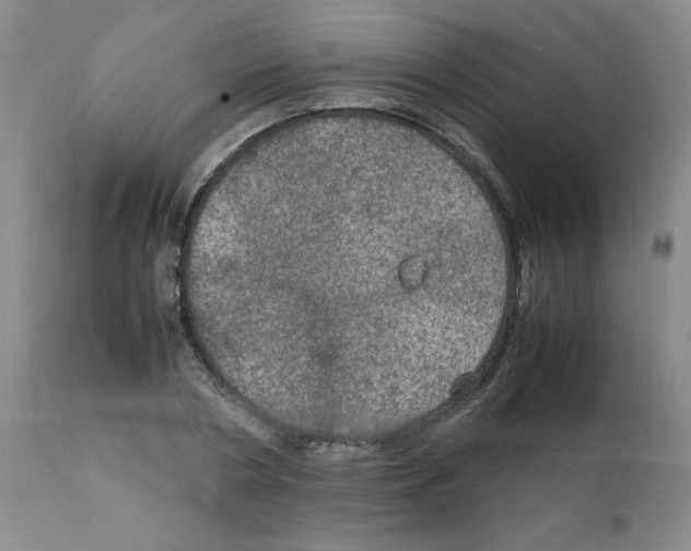 X0000112010786200909141125