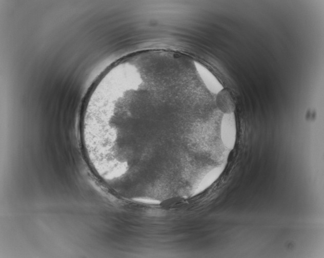X0000112010788200909141125