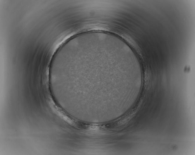 X0000112010790200909141125