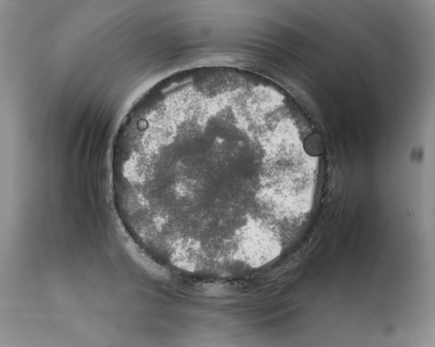 X0000112010792200909141124