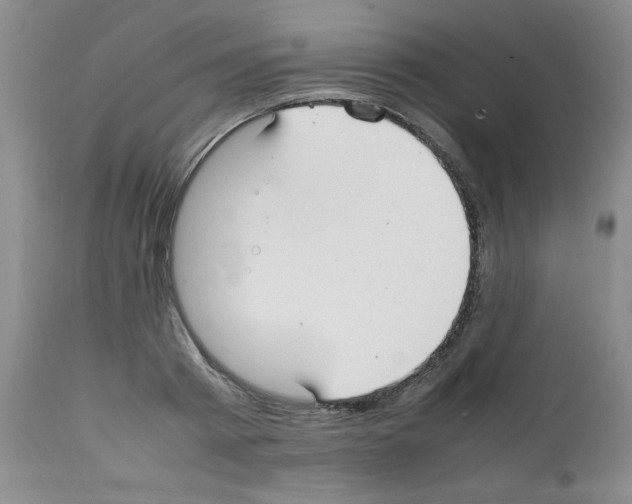 X0000112010793200909141124