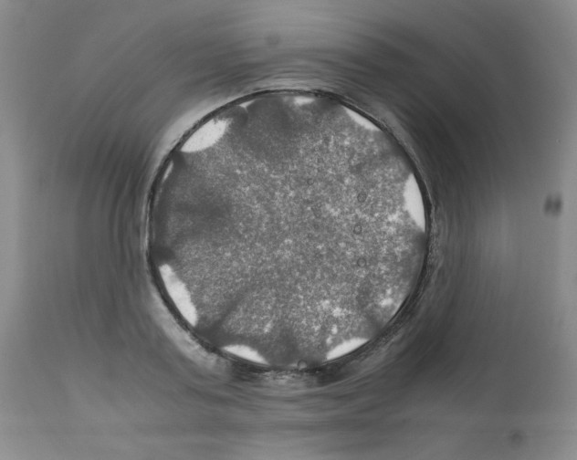 X0000112010795200909141124