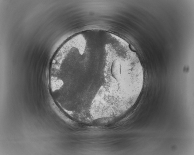 X0000112010796200909141124