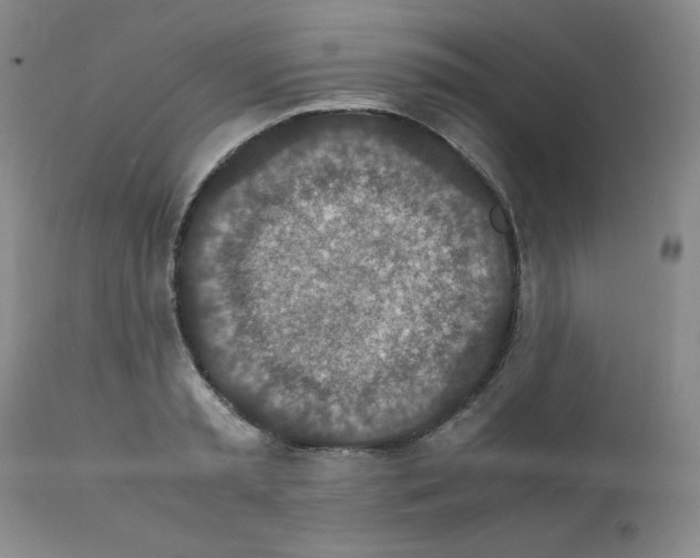 X0000112010797200909141124