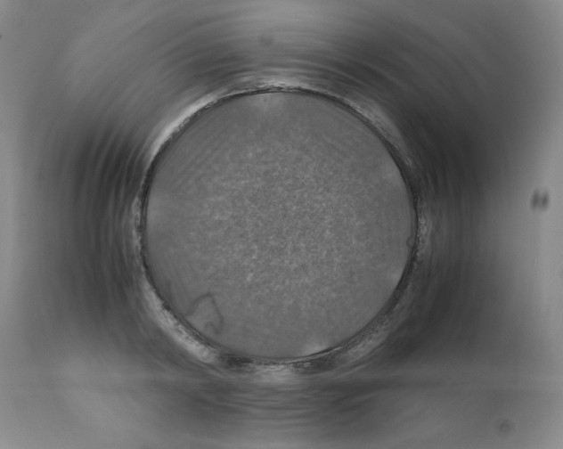 X0000112010798200909141124