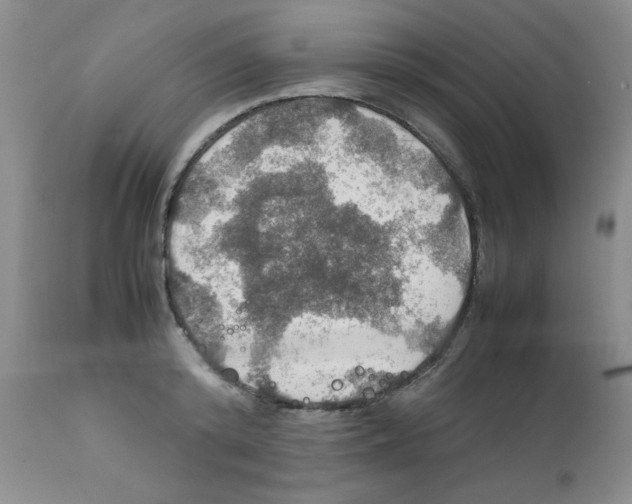 X0000112010800200909141124