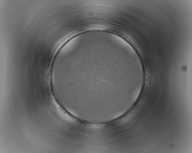 X0000112010802200909141124
