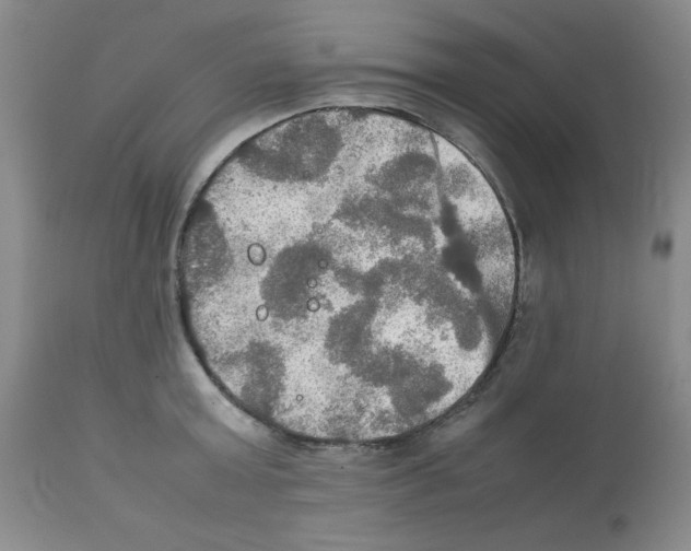 X0000112010803200909141124