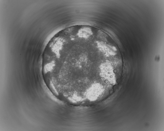X0000112010804200909141124