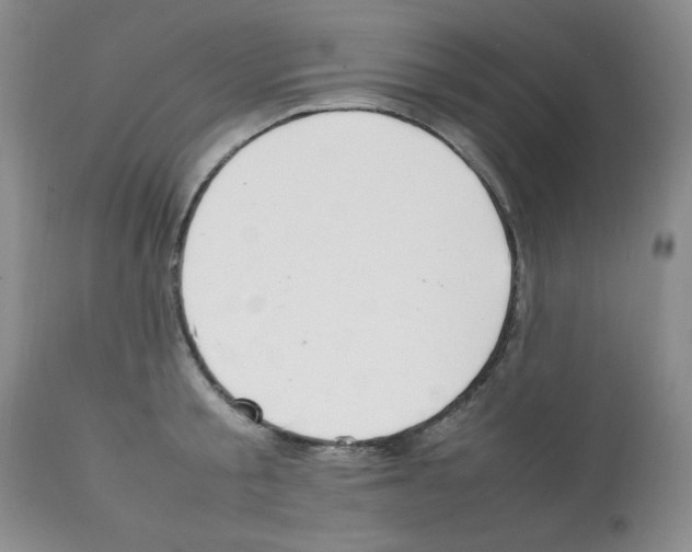 X0000112010805200909141124
